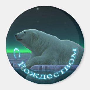 Íman S Rozhdestvom - Urso Polar De Borda Gelo