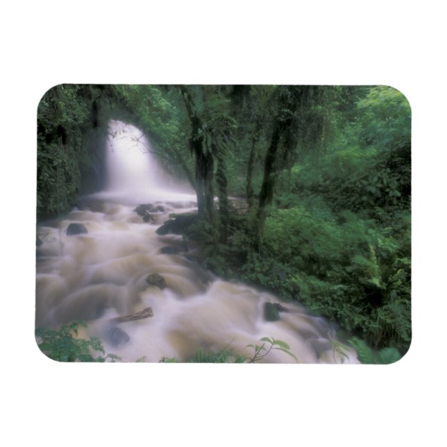 Íman SA, Peru, S.H. Machu Picchu, Cachoeira e nuvem (Horizontal)