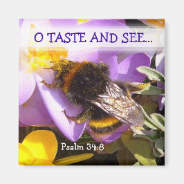 Íman SABE! ~ Magnet