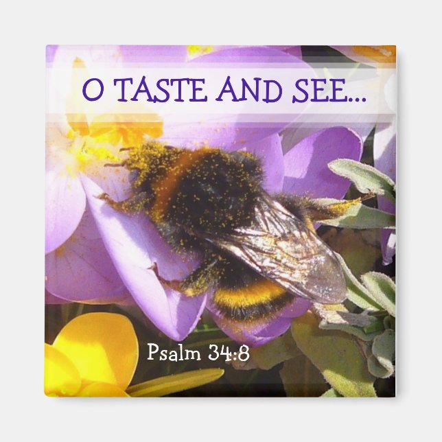 Íman SABE! ~ Magnet (Frente)