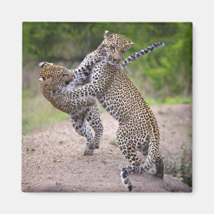 Íman Sabi lixa a tutela, província de Mpumalanga,