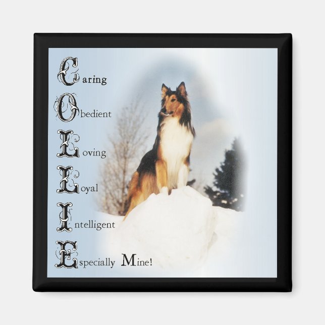 Íman Sable Rough Collie Gifts (Frente)