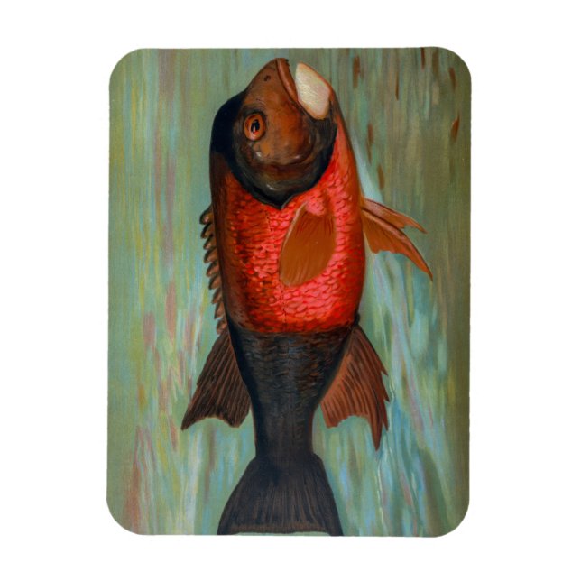 Íman Sacramento Pike por John L Petrie (Vertical)