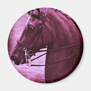 Íman Saddle