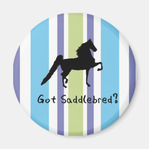 Íman Saddlebred obtido?