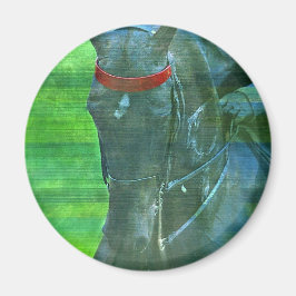 Íman Saddlecriado Americano