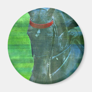 Íman Saddlecriado Americano