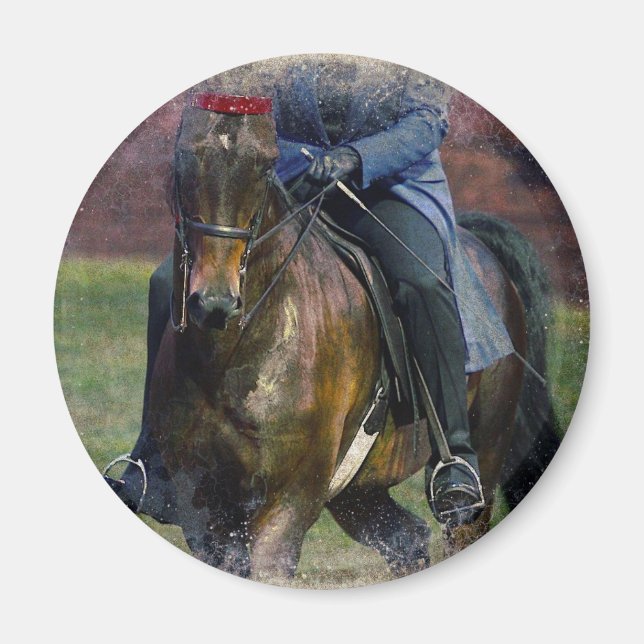 Íman Saddleseat (Frente)