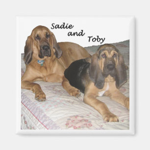 Íman Sadie e Toby 1