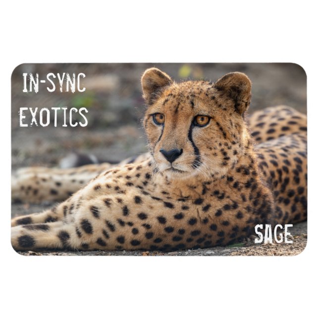 Íman Sage - (Horizontal)