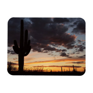 Íman Saguaro Sunset III Arizona Desert Landscape