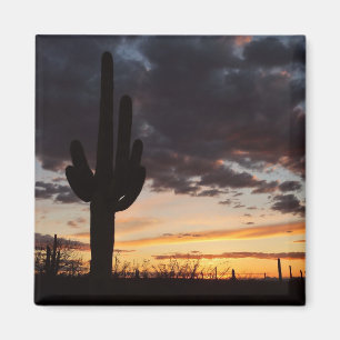 Íman Saguaro Sunset III Arizona Desert Landscape