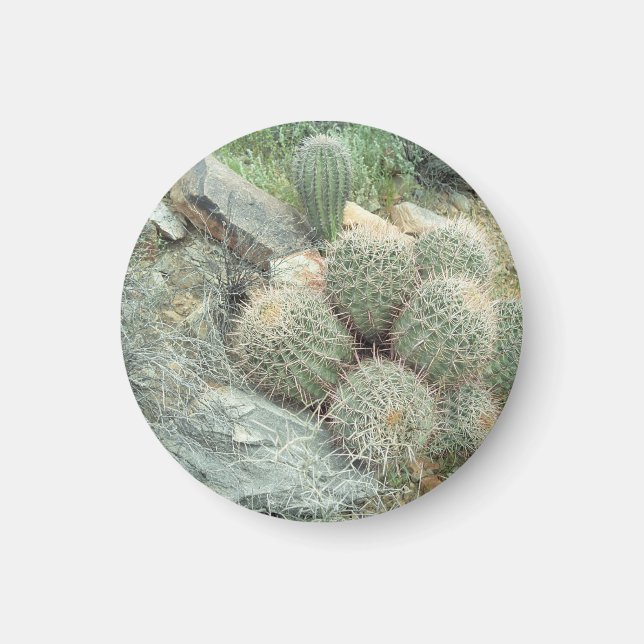 Íman Saguaro Swirl Cactus Refrigerator Gift Magnet (Frente)