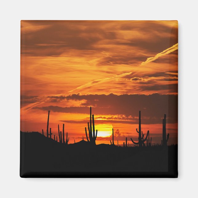 Íman Saguaros Cênicos ao pôr do sol (Frente)