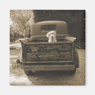 Íman Saia de Dodge - Fotografia de Cães