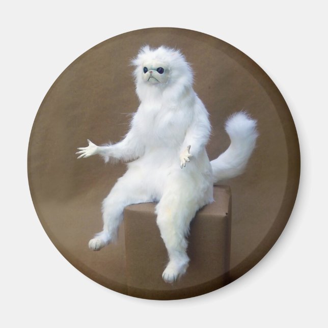 Íman Sala Guardião Memória Magnet (Frente)