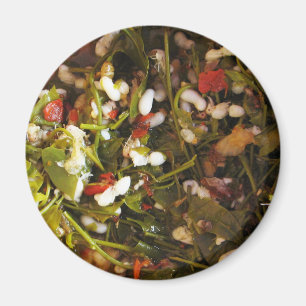 Íman Salada de Ovos de Formigas Vermelhas ... Comida da