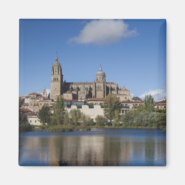 Íman Salamanca Cathedrals e a cidade (Frente)