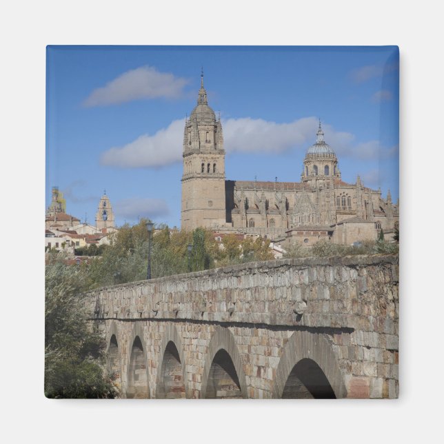 Íman Salamanca Cathedrals, vista de Puente Romano (Frente)