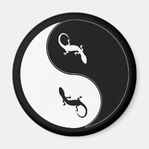 Íman Salamandra de Yin Yang