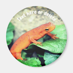 Íman Salamandra Red Eft Nature Personalizado