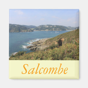 Íman Salcombe, Devon