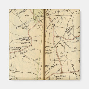 Íman Salem, Nova Iorque