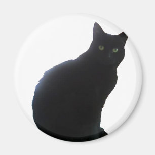 Íman Salgueiro o gato preto