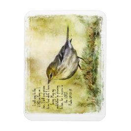 Íman Salm 104 Magnet