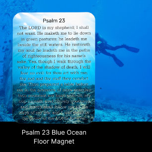 Íman Salm 23 Blue Ocean Floor