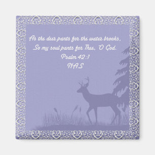 Íman Salm 42 - Magnet