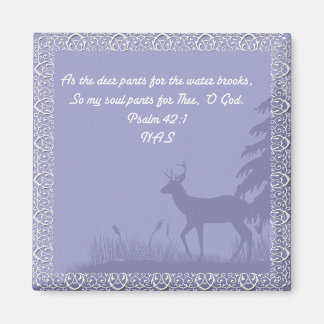 Íman Salm 42 - Magnet