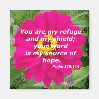 Íman Salmo 119:114