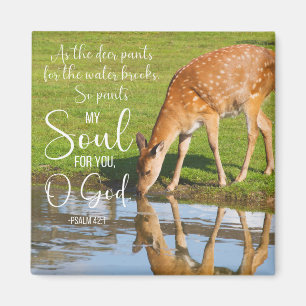 Íman Salmo 42:1 Como as Calças de Deer para a Bíblia de