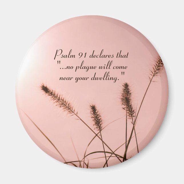Íman Salmo 91 Nenhuma praga chegará perto da sua moradi (Frente)