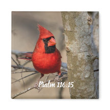 Salmo Cardeal Vermelho 116:15