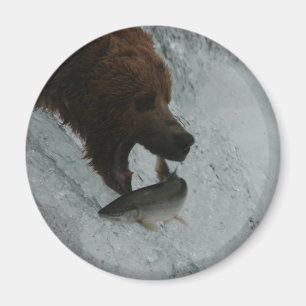 Íman Salmões de travamento do urso de Alaska
