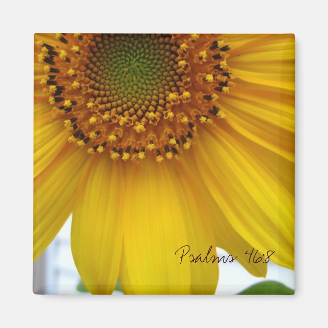 Íman Salmos 46:8 (Frente)