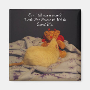 Íman Salvamento de Milko