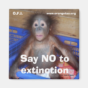 Íman Salvar a conservação dos animais selvagens