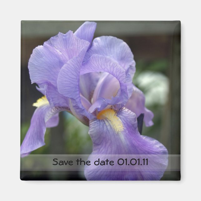 Íman Salvar a data (Frente)