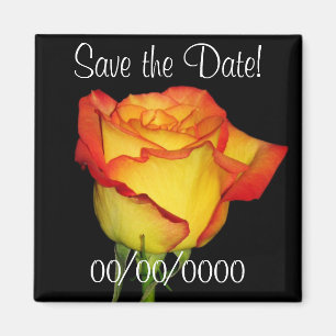 Íman Salvar a data!