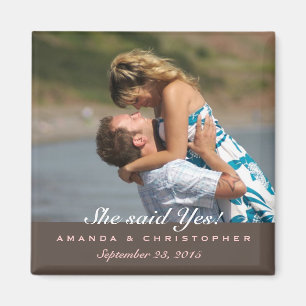 Íman Salvar a data Brown moderno & o ímã cor-de-rosa