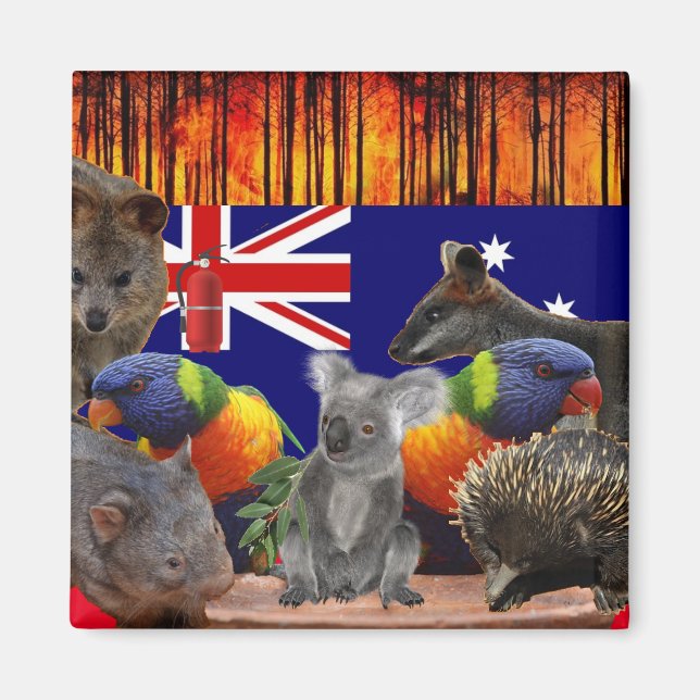 Íman Salvar Nossas Casas - Extinção (Frente)