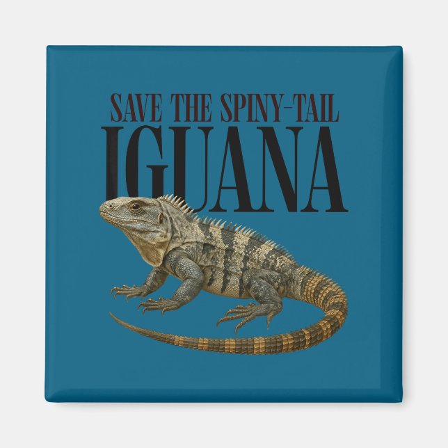 Íman Salvar o Design de Réptil de Iguana de Cauda Espin (Frente)