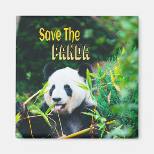 Íman Salvar O Panda