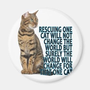ÍMAN SALVAR UM CAT NÃO MUDARÁ O MUNDO MAS SUR