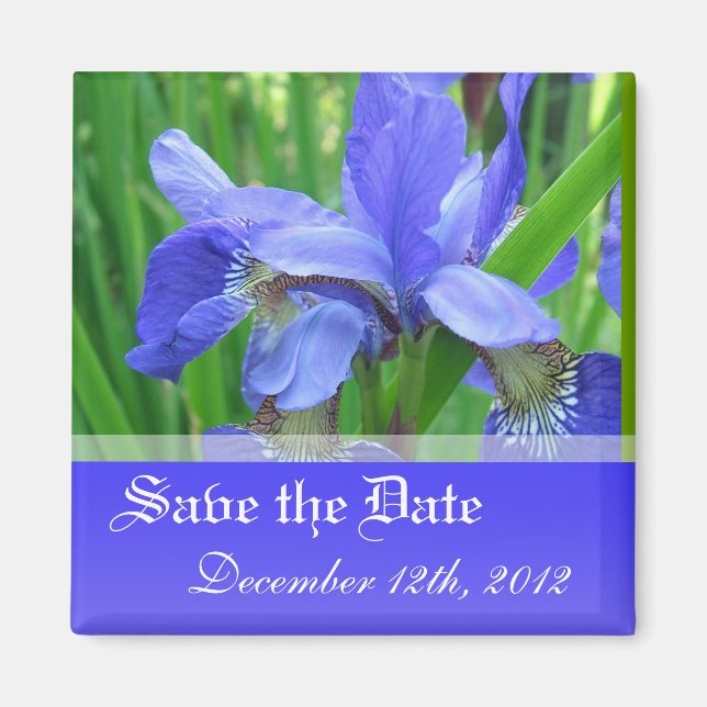 Íman Salve a data, flores de íris azul da primavera. (Frente)