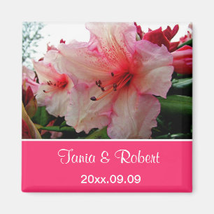 Íman Salve a data, flores rosas de rododendron.