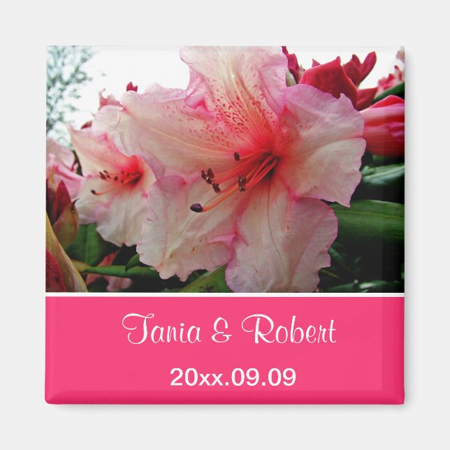 Íman Salve a data, flores rosas de rododendron. (Frente)